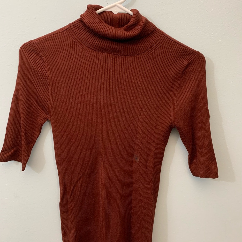 Express Copper Turtlneck sweater